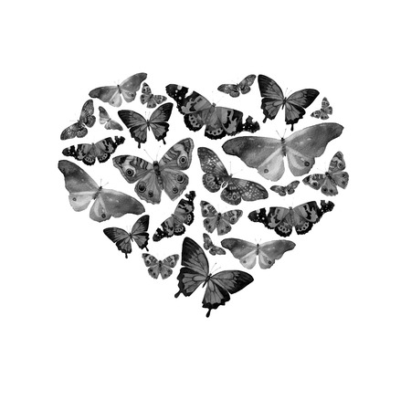 Watercolor heart filled with bright transparent butterflies of black and white and gray shadesの写真素材