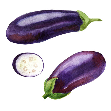 Watercolor illustration. Image of eggplant from different sides, aubergine slicesの写真素材