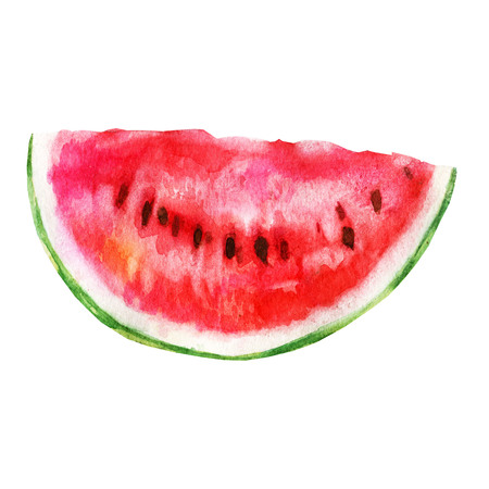 Watercolor illustration. A piece of watermelon. Berryの写真素材