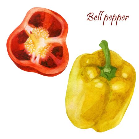 Watercolor illustration, set. Yellow pepper. Half a bell pepper.の写真素材