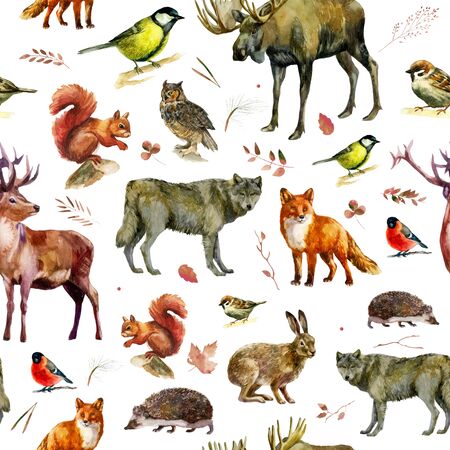 Watercolor illustration, pattern. Forest animals on a white background. Elk, wolf, fox, hare, squirrel, hedgehog tit bullfinch owl deer sparrowの写真素材