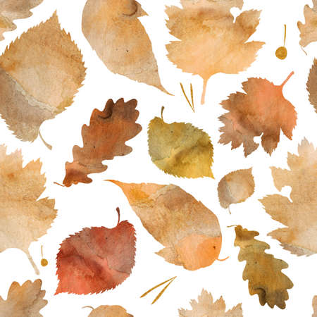 Watercolor illustration pattern. Autumn leaves, watercolor texture.の写真素材
