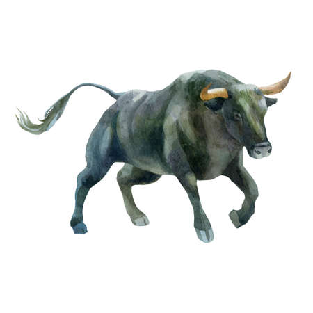 Watercolor illustration bull. The symbol of the new year, the animal on the farm. Watercolor drawing.の写真素材
