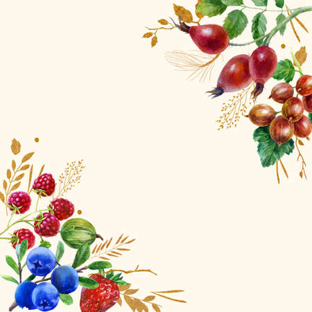 Watercolor illustration. Summer frame made of berries and leaves. Raspberries, currants gooseberries, strawberries barberries, blueberries, rose hips.の写真素材