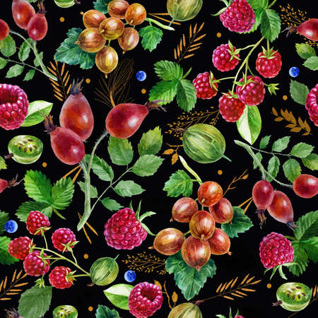 watercolor illustration pattern. Berries on black background. Raspberries, raspberries on a twig, pink spots.の写真素材
