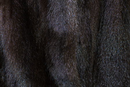 close up of a natural  mink coatの写真素材