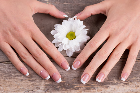 Beautiful female hands with french manicure and white daisies on an old vintage wooden background.の写真素材