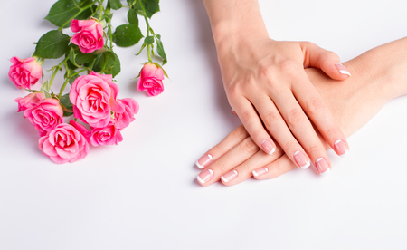 Beautiful well-groomed female hands. French manicure with pink roses on a white background.の写真素材