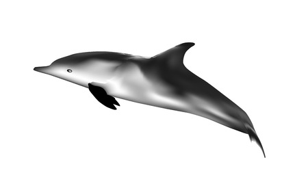 Dolphin illustration backgroundの写真素材