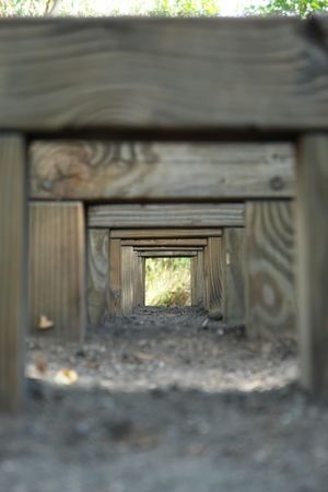 prospect on corridor for wood,の写真素材