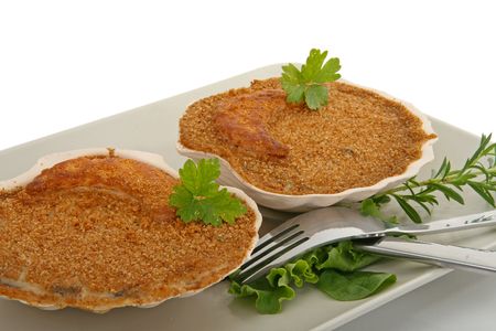 scallopの写真素材