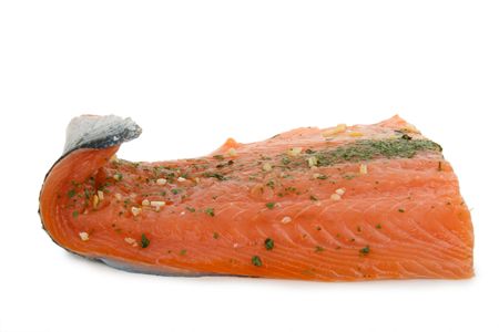 isolated salmonの写真素材