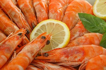 shrimpの写真素材