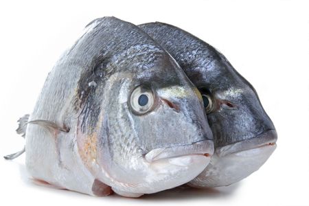 fish, sea breamの写真素材