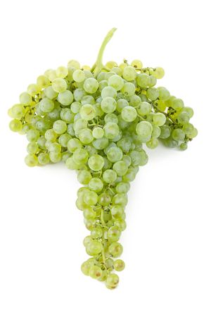 green grapeの写真素材