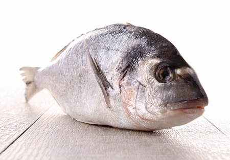 raw fishの写真素材