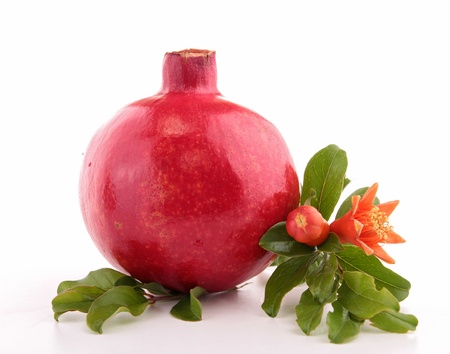 pomegranateの写真素材
