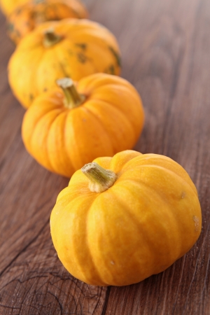 pumpkinの写真素材