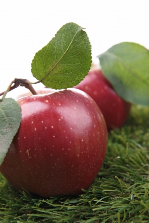 red apple and leafの写真素材