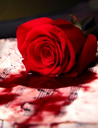 love songの写真素材