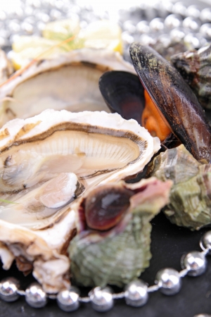 assortment of seafoodの写真素材