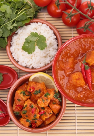 chicken with sauceの写真素材