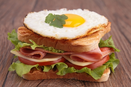 sandwich toast の写真素材