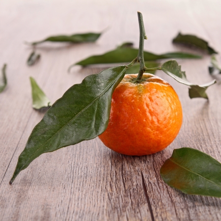 mandarin fruit or tangerineの写真素材