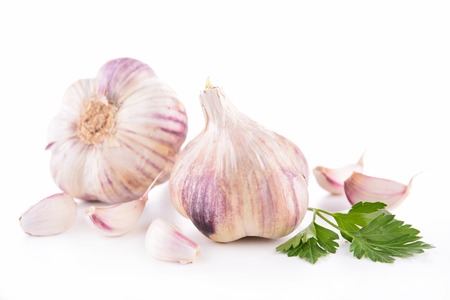 garlic bulb isolatedの写真素材