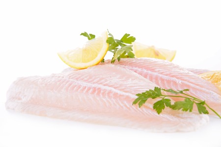 raw fish filletの写真素材