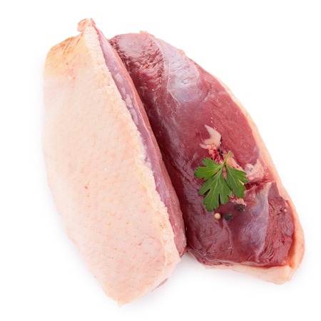 raw duck close upの写真素材