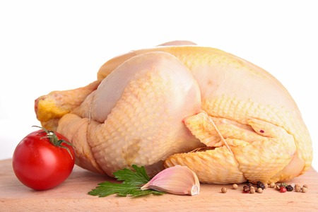 chickenの写真素材