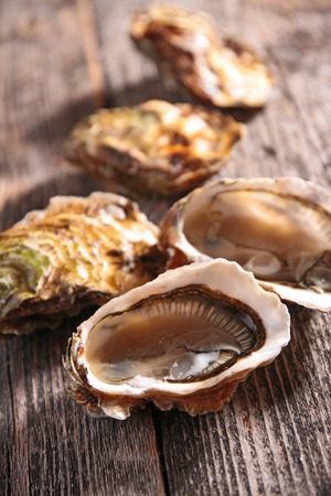 oyster on wooden table の写真素材