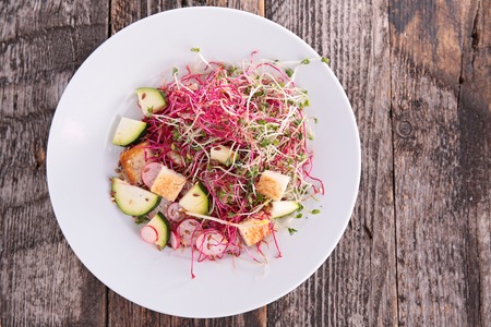 vegetable salad with sproutsの写真素材