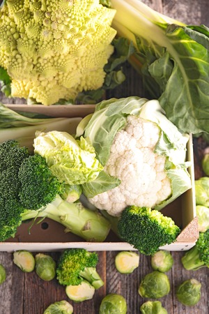 various of cabbageの写真素材