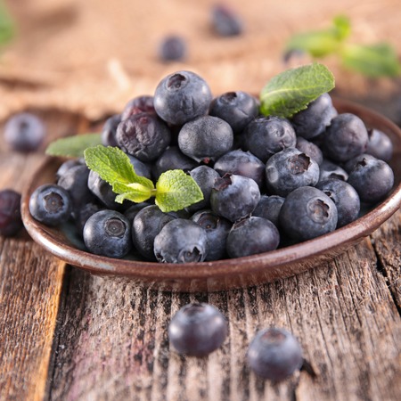blueberryの写真素材