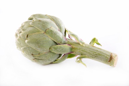 artichoke on white の写真素材
