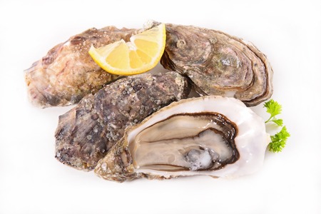 oysters