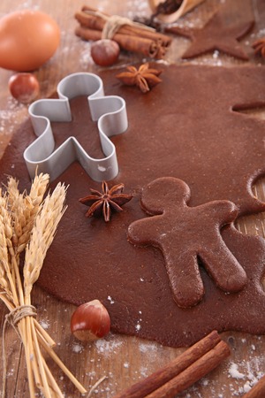gingerbread cookieの写真素材