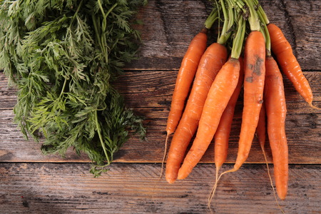 carrot and leafの写真素材
