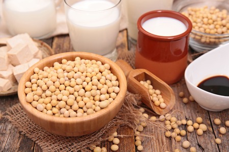composition with soy productの写真素材