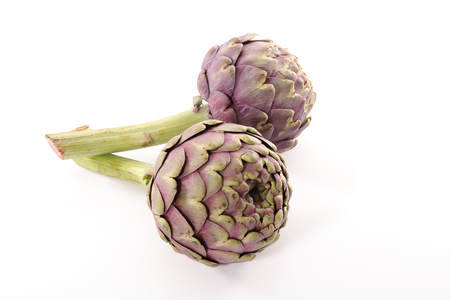 raw artichokeの写真素材