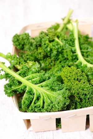 fresh kaleの写真素材