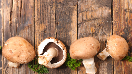 raw mushroomの写真素材