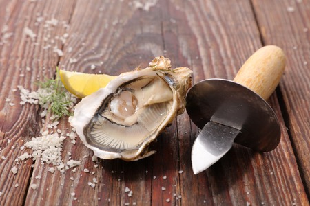 fresh oysterの写真素材