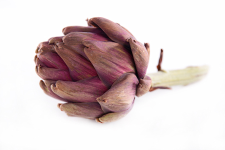 artichoke isolated on white backgroundの写真素材