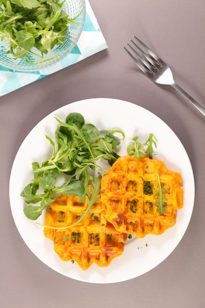 veagn waffle with saladの写真素材