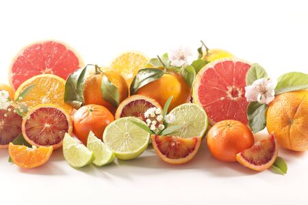 assorted of citrus fruit- lemon, grapefruit, orange on white backgroundの写真素材