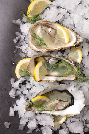 oyster and ice cube with lemonの写真素材