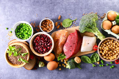 food high in protein- protein source